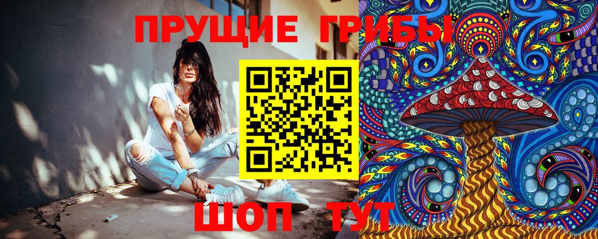 Псилоцибиновые грибы Cubensis  Вход с VPN  Сафоново 